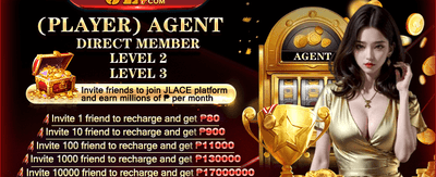 VIP Agent Partner Rebate promotion